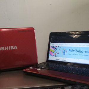 Toshiba Satellite x Luberri