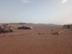 IMG_20220514_180646