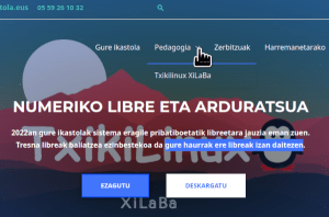 Donibaneko zerbitzaria – Elkartenet-2024